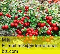 lingonberry red
