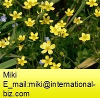 Cat’s Claw Extract