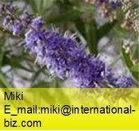 Chasteberry Extract