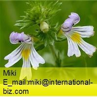 Eyebright Herb Extract 