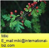 Hawthorn Leaves Extract
