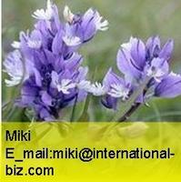 Milkwort Root Extract Powder