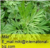 Aiye Leaf Extract 4:1