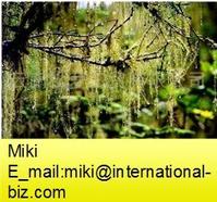 navel lichen extract