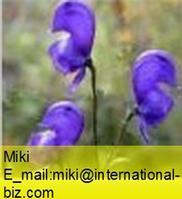 Aconitum Ambiguum