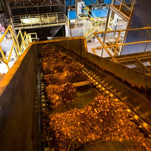 Crude Palm Oil CPO And Crude
