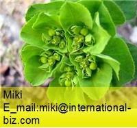 euphorbia extract