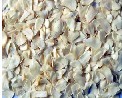 Garlic piece
