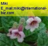 Rehmannia glutinosa extract