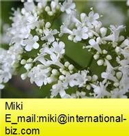 Valerian Extract