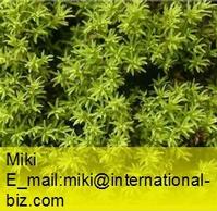  funaria moss extract