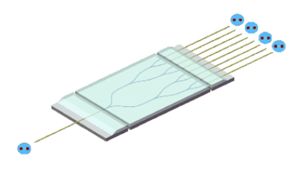 Special Fiber Optical Components