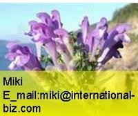 Scutellaria baicalensis Extract
