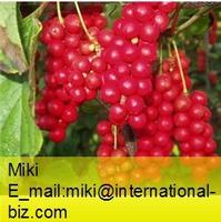 schisandra extract