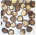 Shiitake Mushroom Extract