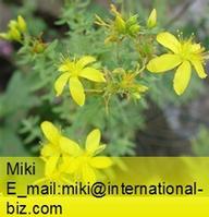 St.Johns Wort Extract 
