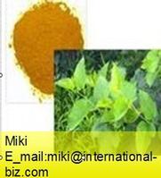 Mulberry Leaf Extract