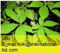 Nettle Root Extract 