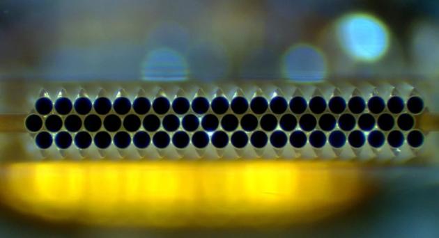2D Fiber Bundle