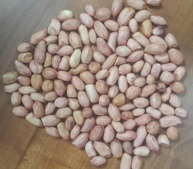 RAW PEANUTS