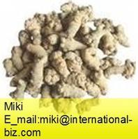 Notoginseng Root Extract 