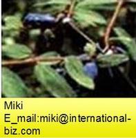 sweetberry honeysuckle extract