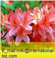 Azalea Extract