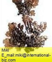 shield lichen extract