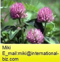 red clover extract