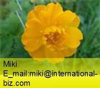 globeflower extract