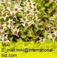 philonotis moss extract