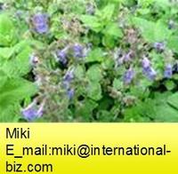 Cat Nut Extract