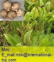 Alisma Extract 