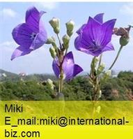  balloon flower extract 