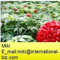 Notoginseng Leaf Extract