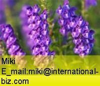Astragalus Extract 