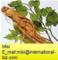 Ginseng P.E.
