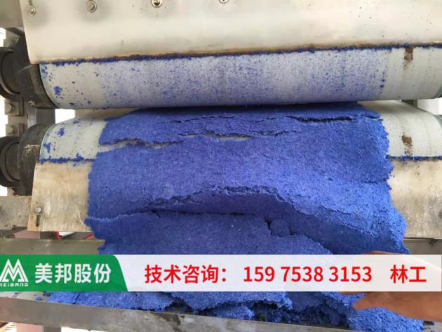 Belt Filter Press For Dyeing Mud