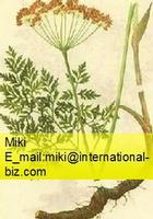 Notopterygium Root Extract