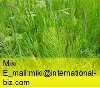 Horsetail Extract 