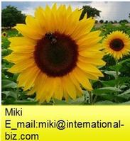 Sunflower Extract
