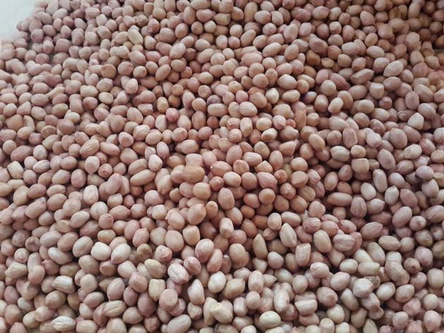 RAW PEANUTS