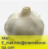 Garlic Extract 