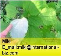 Boehmeria nipononivea extract