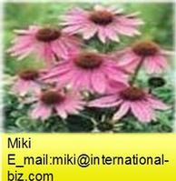 Echinacea purpurea P.E.
