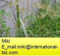 Nutgrass Extract