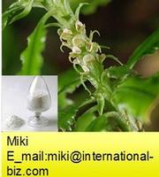 Huperzia Extract