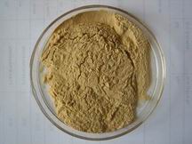 Bitter Melon Powder Extract