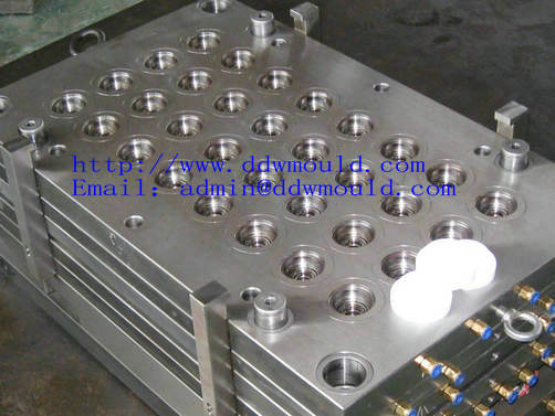 DDW Plastic Bottle Cap Mold Plastic