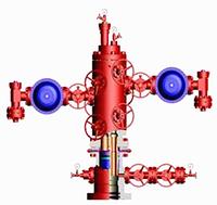Dual Completion Wellhead